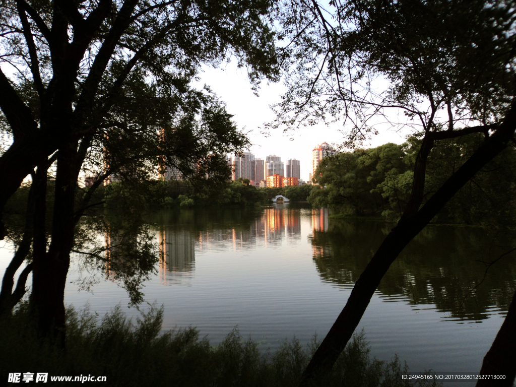 龙沙公园美景
