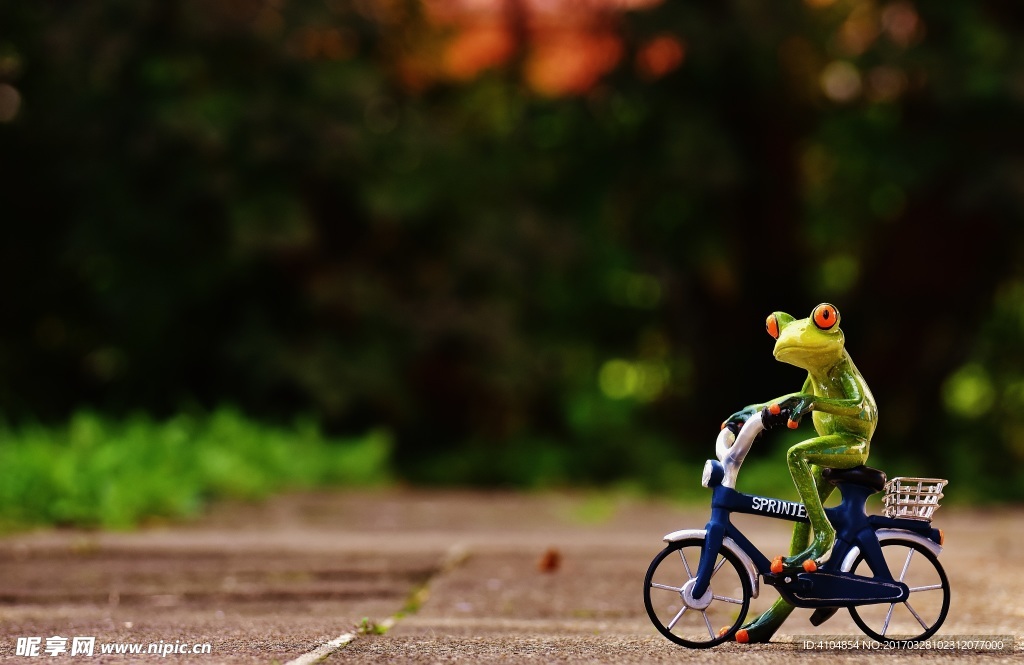 青蛙骑自行车