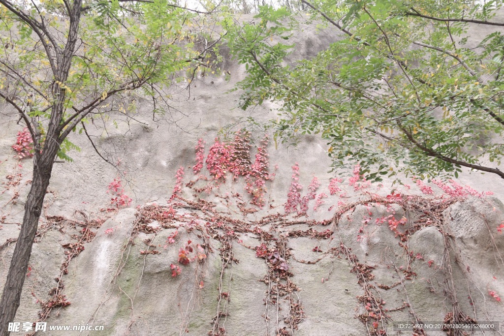 风景图片