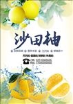 沙田柚子海报设计