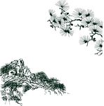 松树 松针 松花 松叶  山石