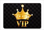 VIP矢量图
