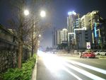 西堤路夜景