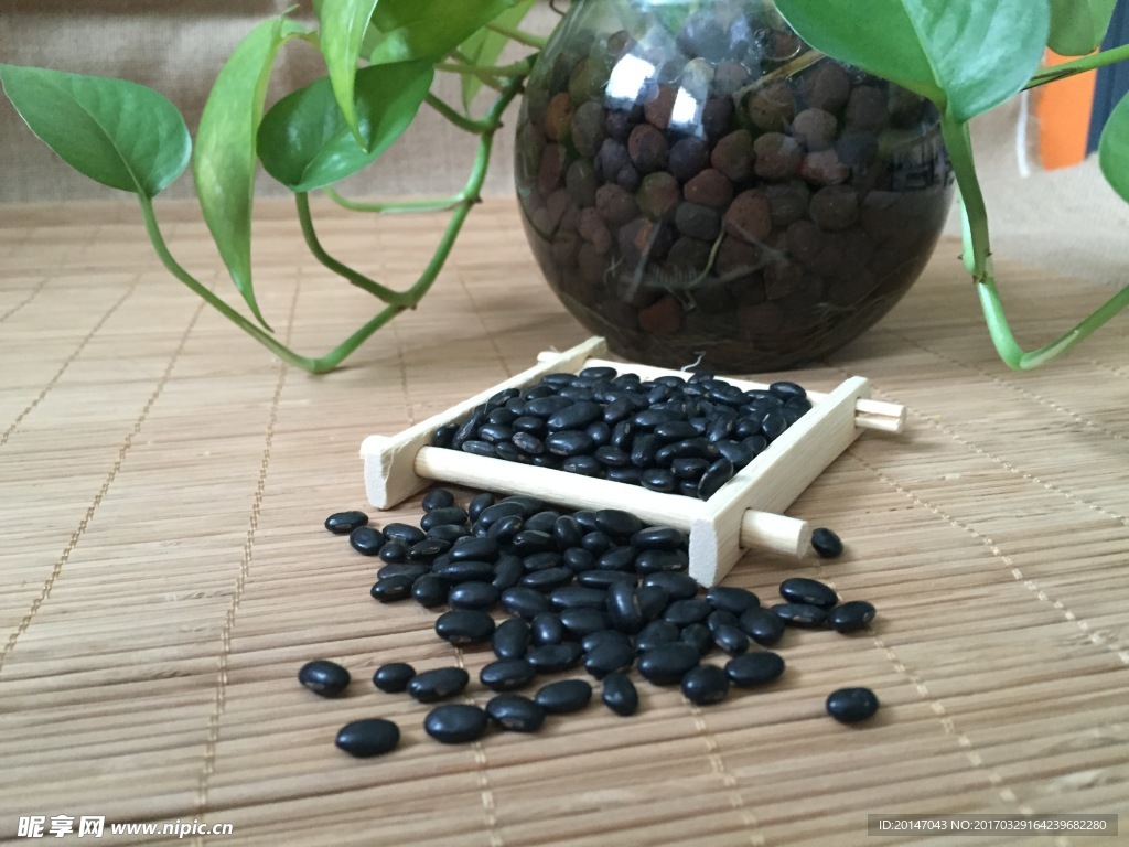 黑豆