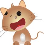 猫咪