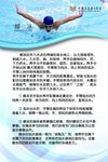 泳姿介绍