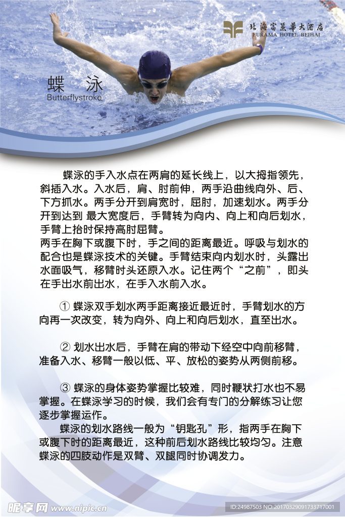 泳姿介绍