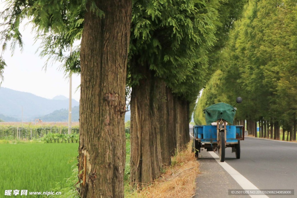 马路
