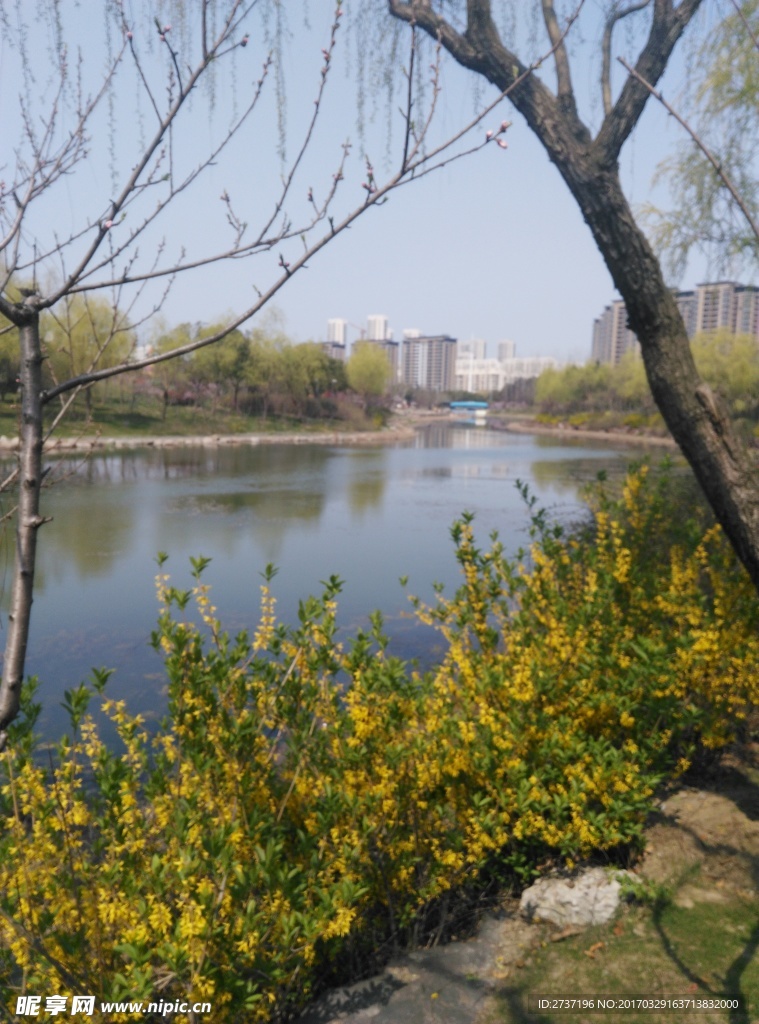 无锡金匮公园