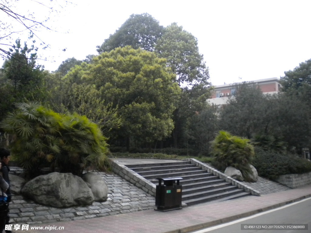 自然景观 台阶