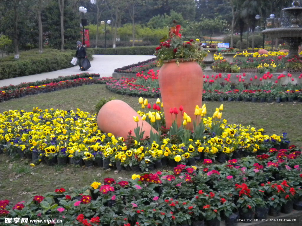 园林 植物 风景