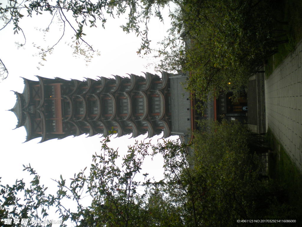 公园内部景色  塔