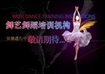 舞艺舞蹈培训
