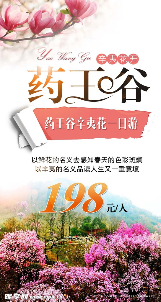 药王谷