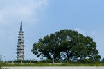 高塔
