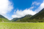 山水风景
