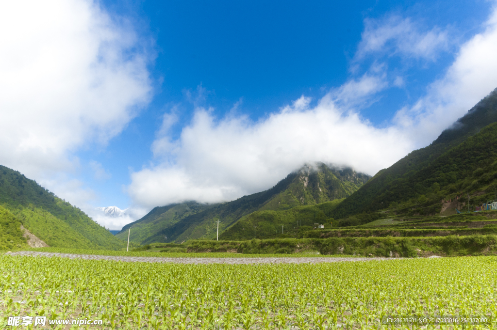 山水风景
