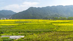 山水风景