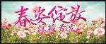 新品上市