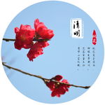 清明节桃花