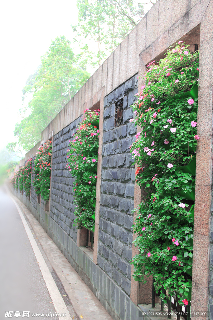 唯美鲜花风景