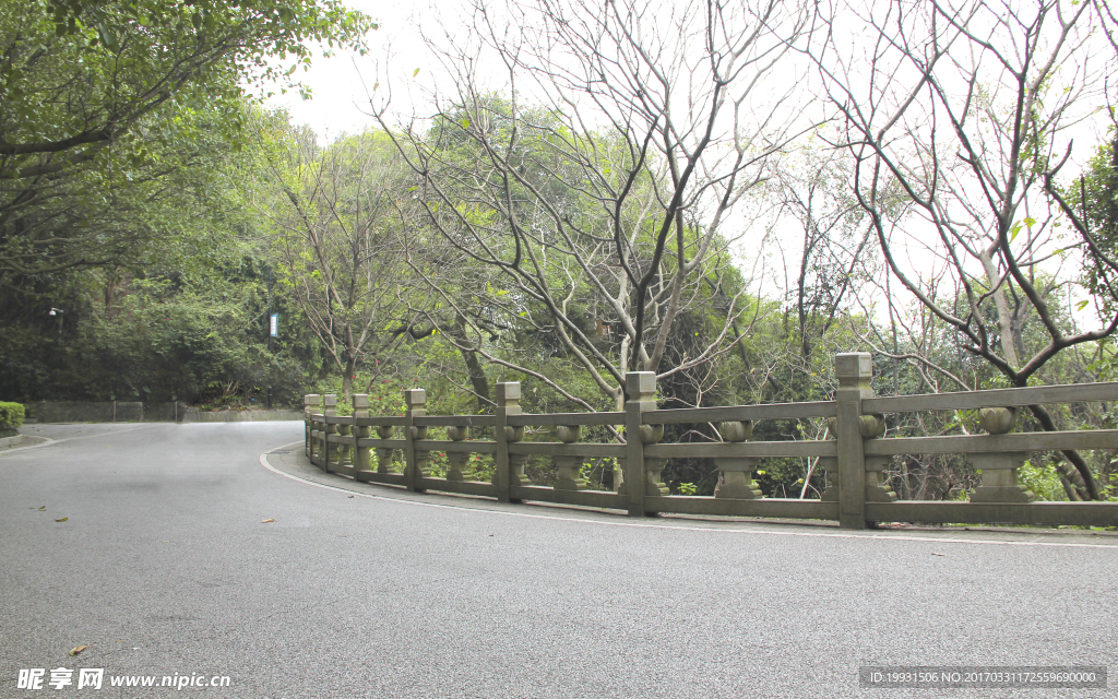风景 绿地 日光