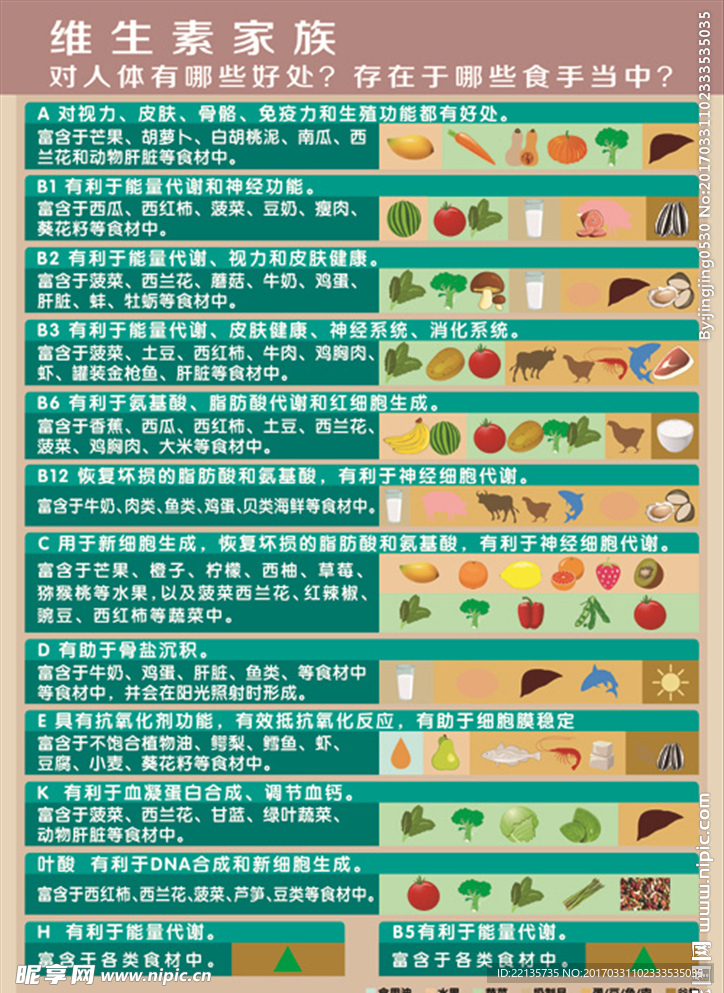 维生素家族图