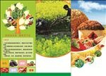 农业 三折页 农产品 化肥