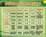鼻炎展板