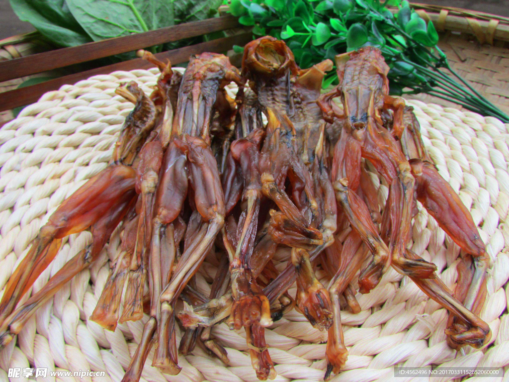 青蛙肉