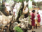 生态酒店背景 园林