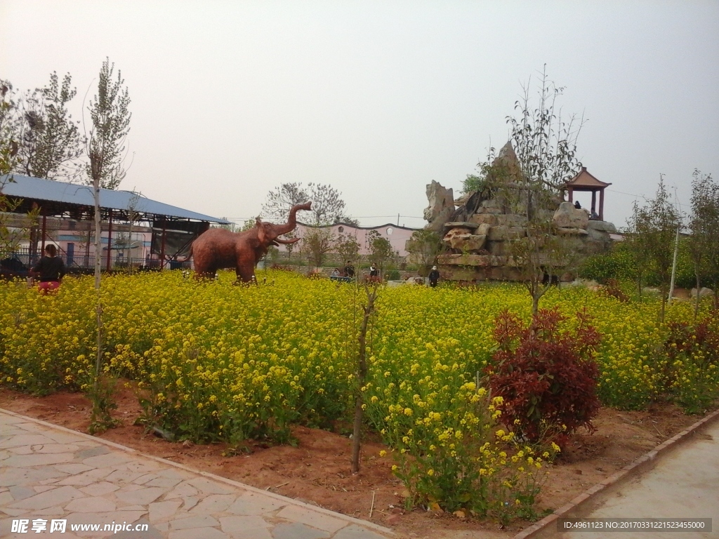 公园一角  风景