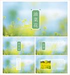 清新PPT   简约PPT