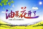 油菜花