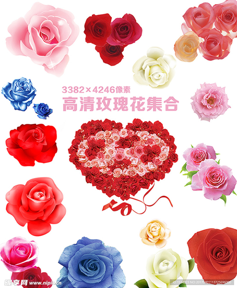 玫瑰花集合素材