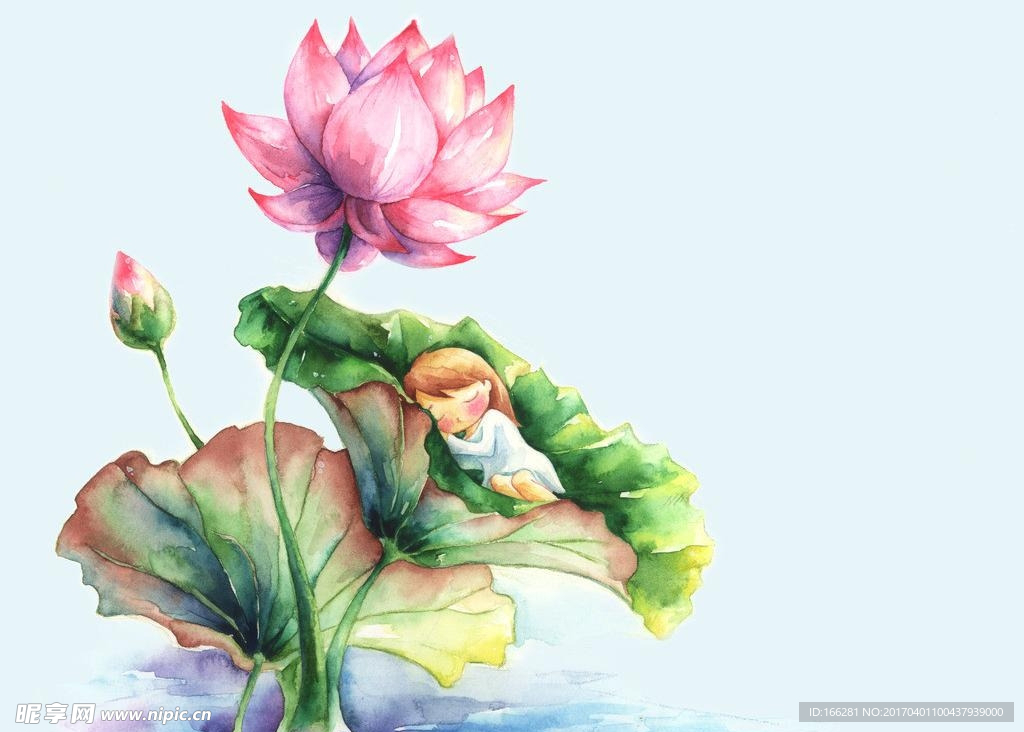 水彩插画