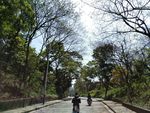 林中小路