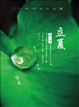 立夏