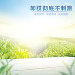 绿茶 春天 白板 绿色背景