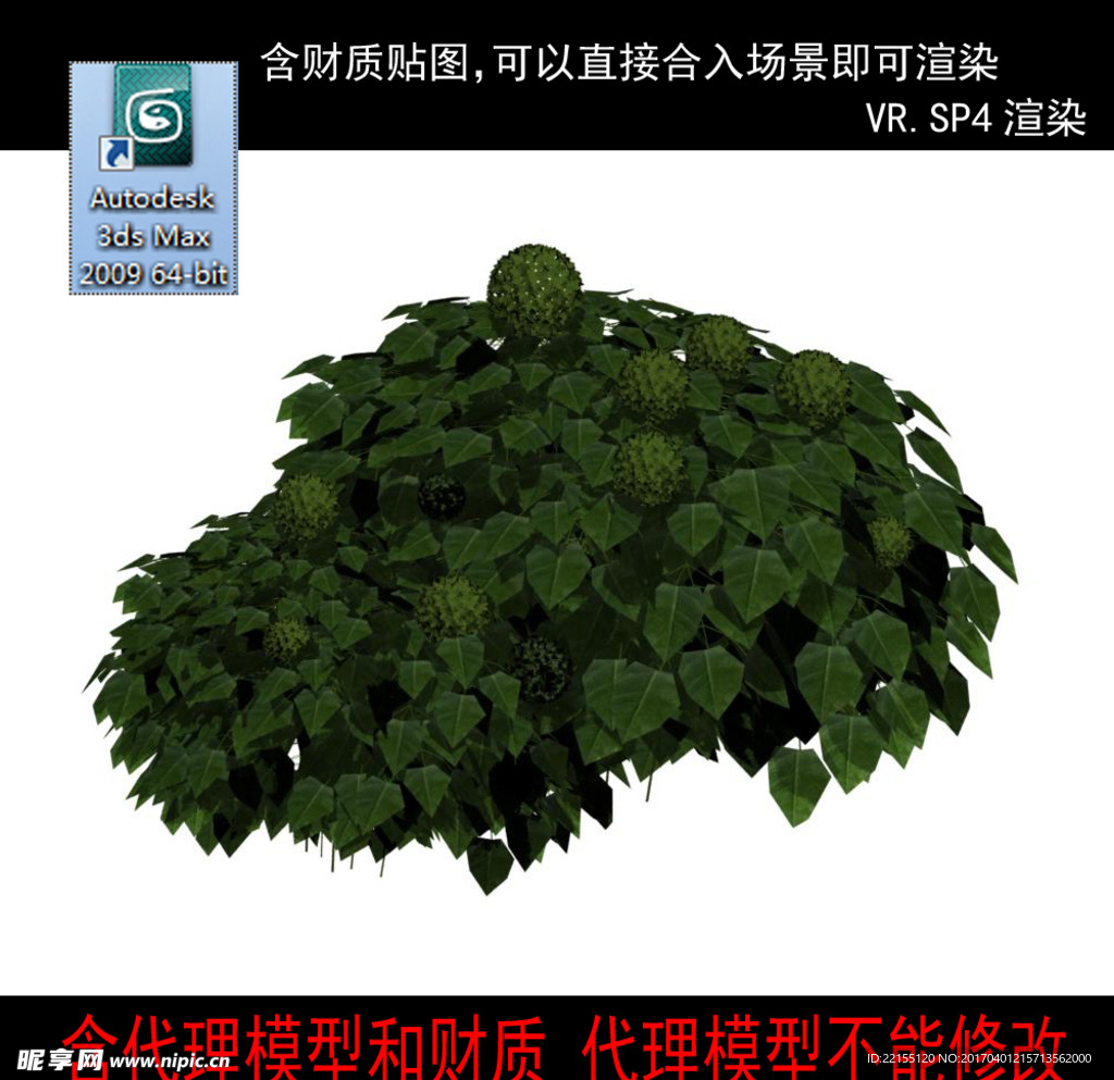 代理植物
