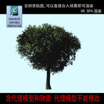 树模型