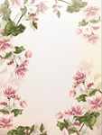 花朵边框