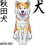 动物