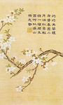 缂丝乾隆御制诗花卉册