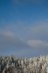 雪景