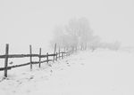 风雪