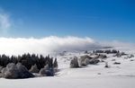 雪景