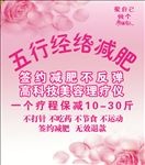 养生海报
