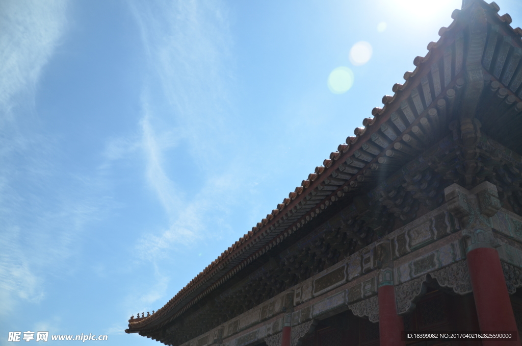 北京 大树 故宫 旅游 自然