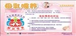 母乳喂养 母乳的好处